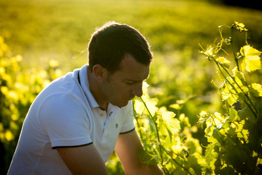 Domaine LA FLORANE (Vaucluse)