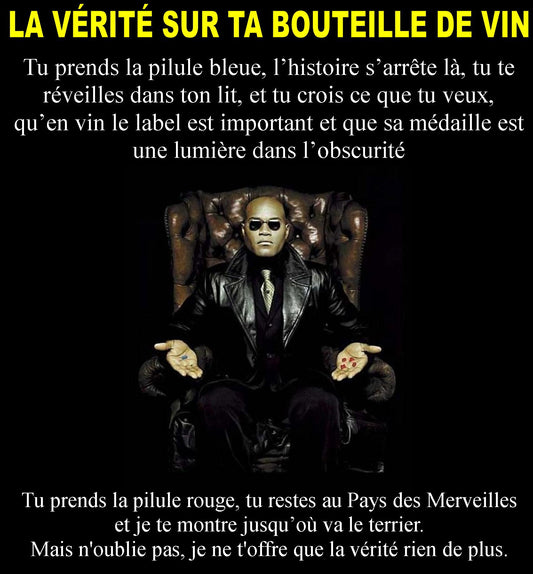 La vérité sur ta bouteille de vin !