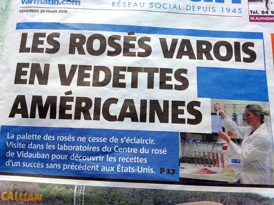 De l'importance (inutile) de la couleur du rosé !
