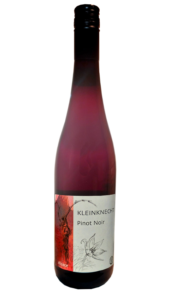Pinot Noir 2022/2023 - Domaine Kleinknecht (Alsace)