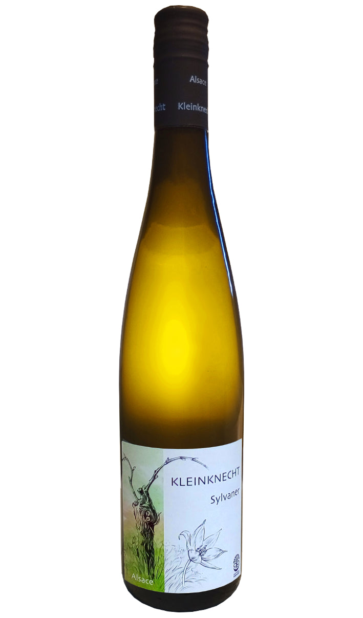 Sylvaner 2023 - Domaine Kleinknecht (Alsace)