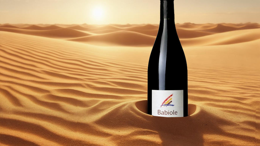 Expérience déroutante sur la conservation du vin naturel