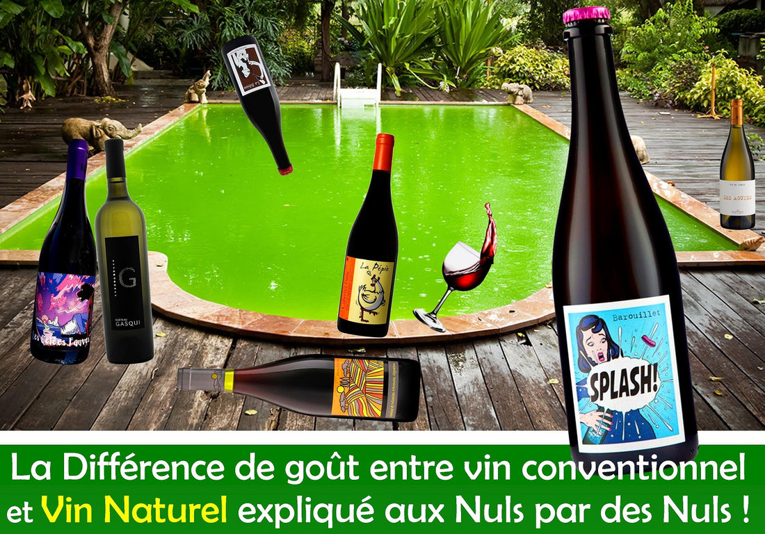 Le Vin Naturel c'est quoi ? Différence entre vin naturel et conventionnel.