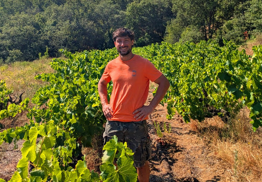 Domaine de l'Avellan dans le Var