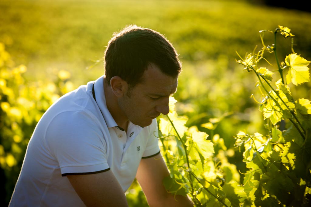 Domaine LA FLORANE (Vaucluse)