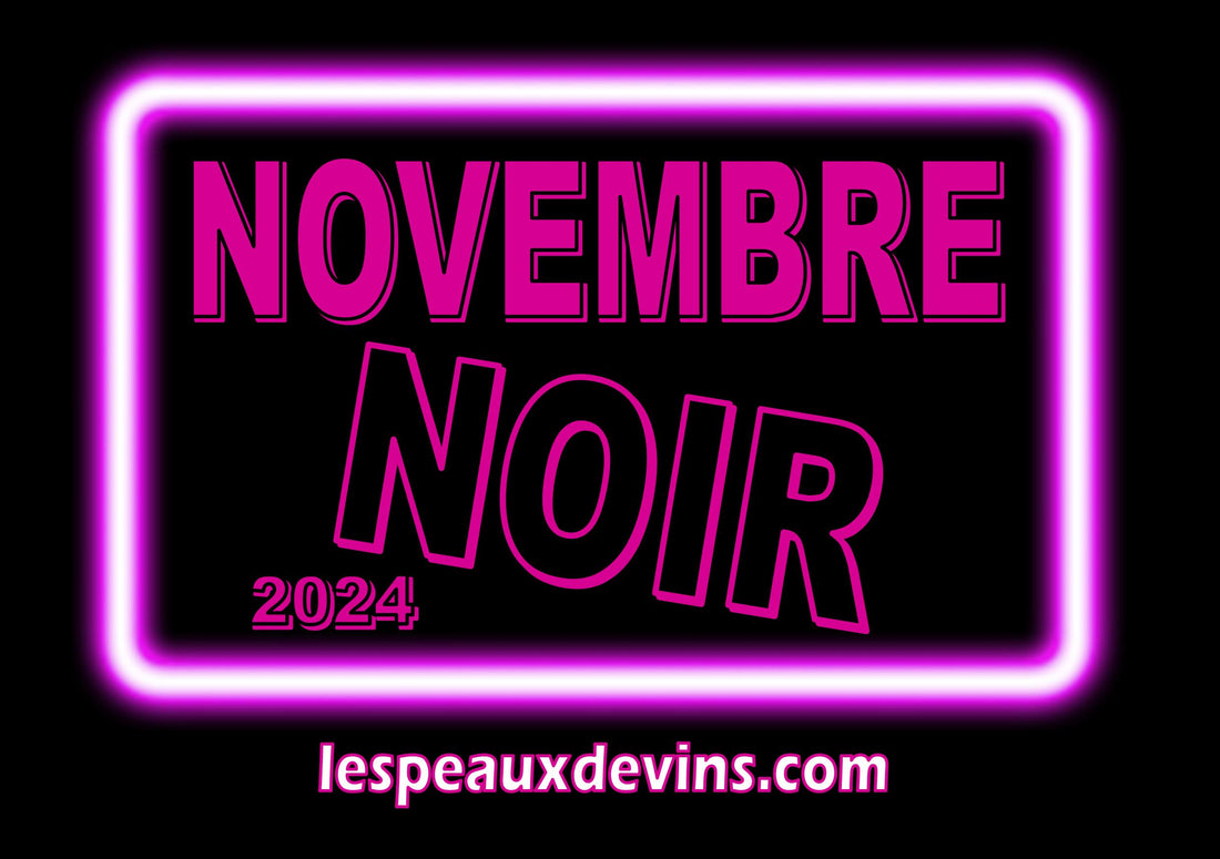 NOVEMBRE NOIR 2024 - 8 jours de bonnes affaires !