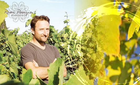 Domaine Dieulefit dans le Vaucluse