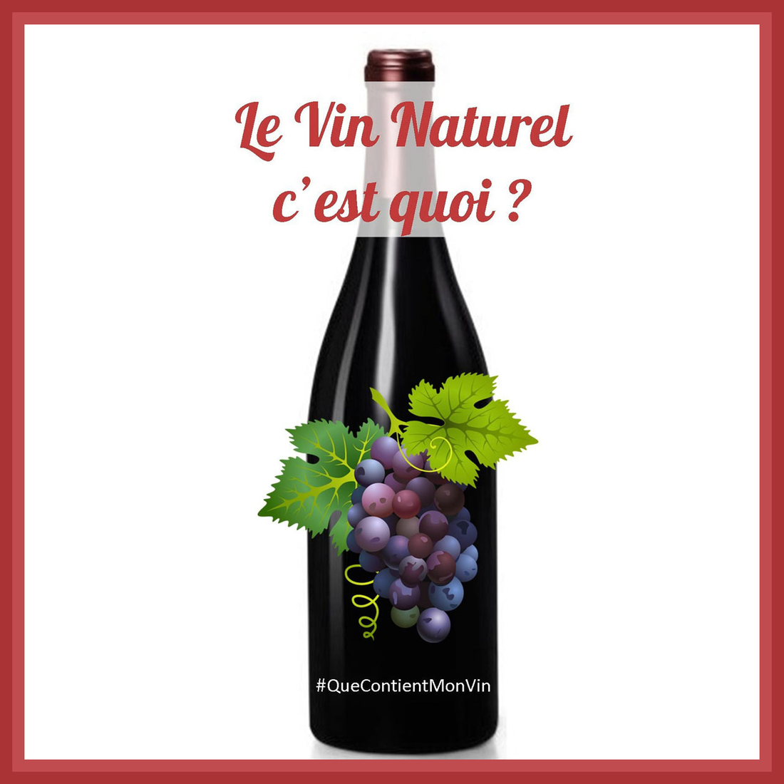 Le Vin Naturel c'est quoi ?