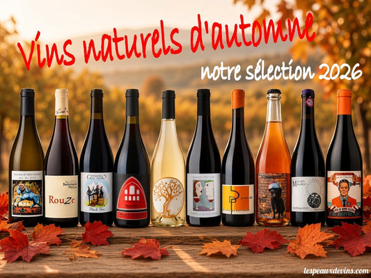 Les 10 vins naturels incontournables pour votre automne 2026