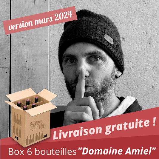 Box 100% Domaine des Amiel - LIVRAISON GRATUITE