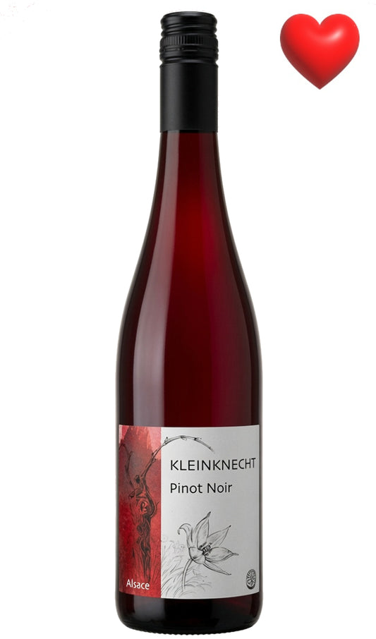 Pinot Noir 2022/2023  - Domaine Kleinknecht (Alsace)