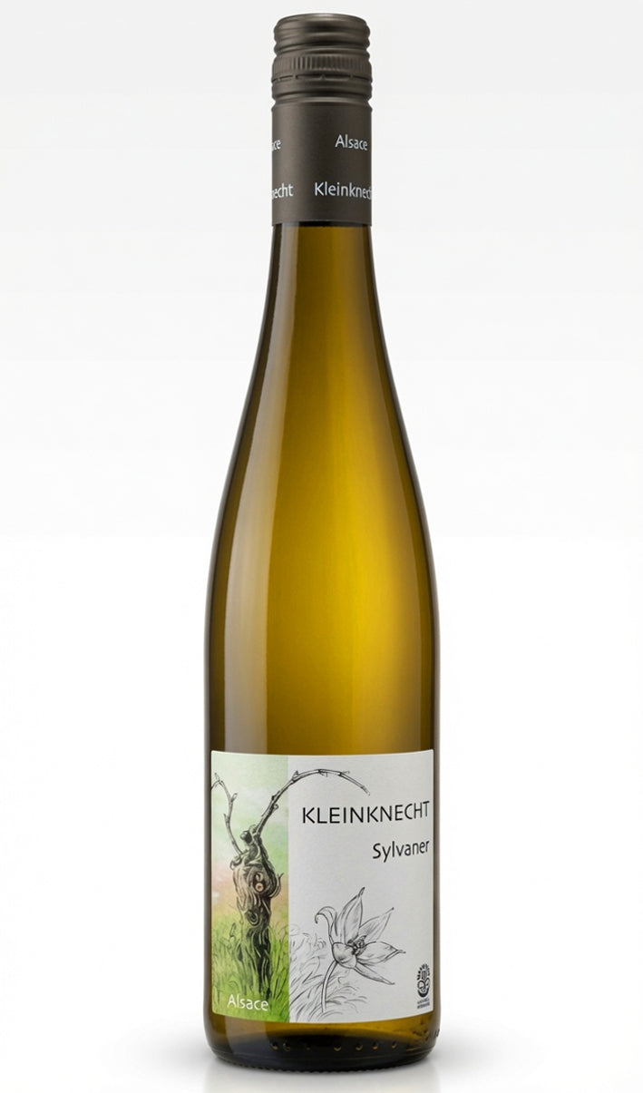 Sylvaner 2023 - Domaine Kleinknecht (Alsace)