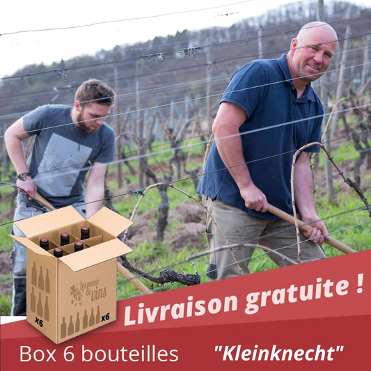 Box André Kleinknecht - LIVRAISON GRATUITE