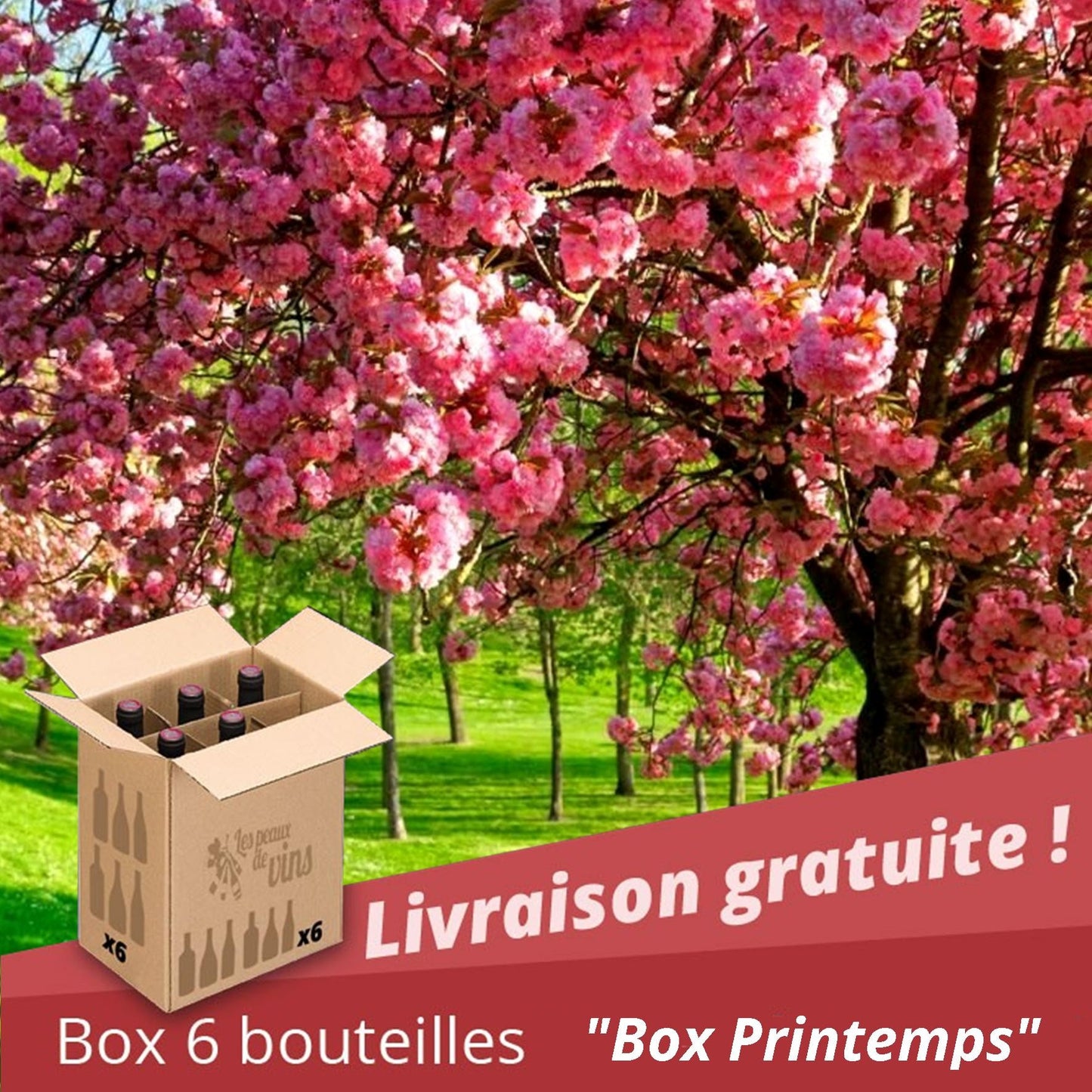 Box de Printemps 2024 - LIVRAISON GRATUITE